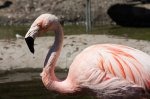 IMG_2346_85
