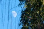 IMG_2235_85