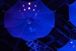 IMG_2504_85